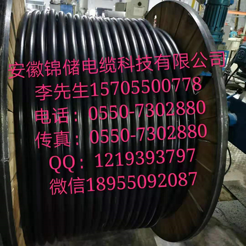 安徽锦储电缆科技，型号：ZRB-DJVP2VP2-22