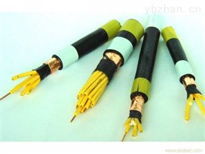 ZRC-YJV22电力电缆