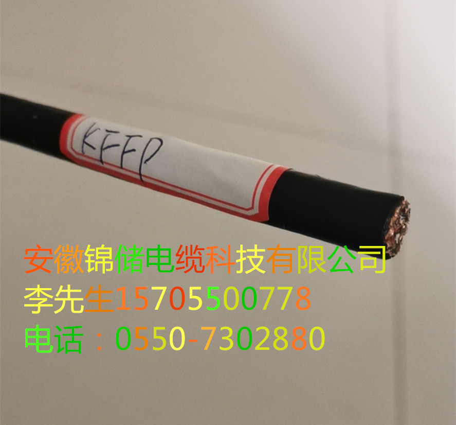 J31.jpg