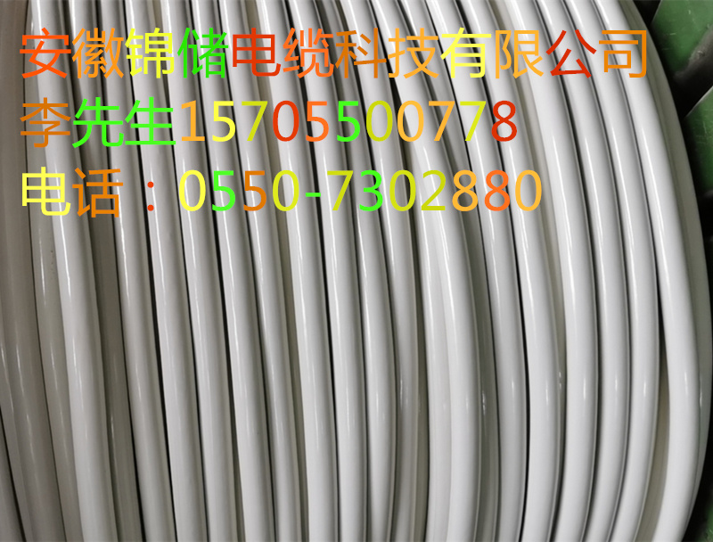 15948959837395.jpg J29.jpg