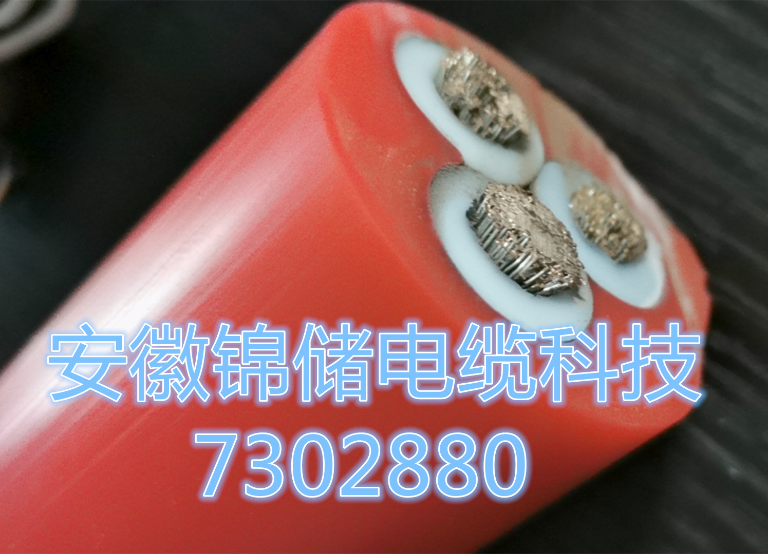 15993869666822.jpg J18.jpg