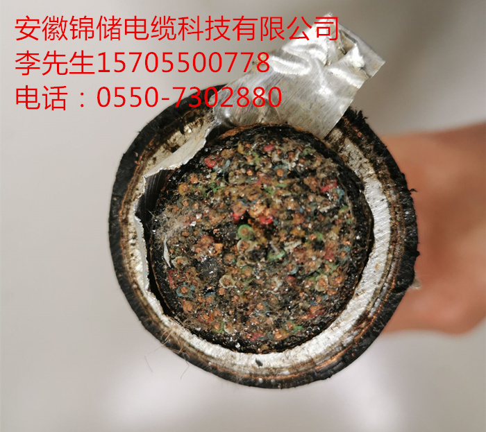 16046563232815.jpg J42.jpg