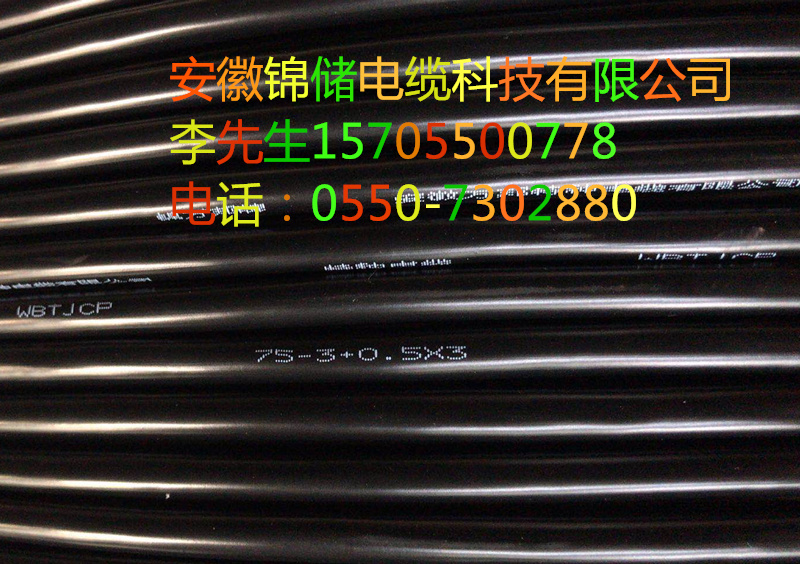 16118033836819.jpg J12.jpg