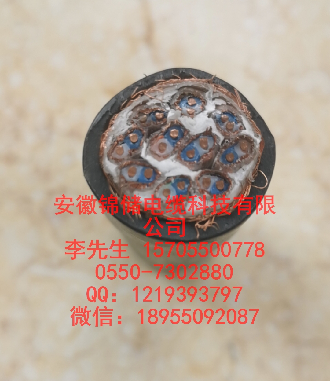 96%W738[_0J[4(KZ_5Q%$$N.jpg
