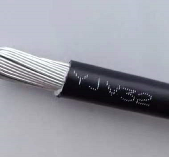 16692537864785.png 1666751774294.png