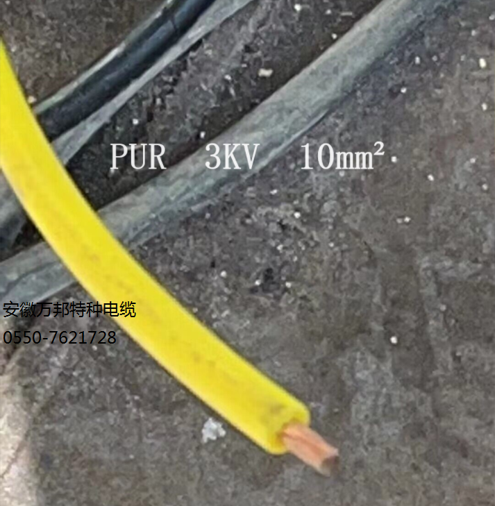 17539296311253.png 1703123617505.png