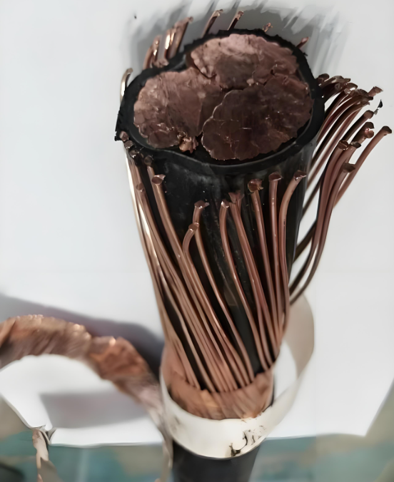 低烟无卤变频电缆WDZB1-BPYJYP2/23