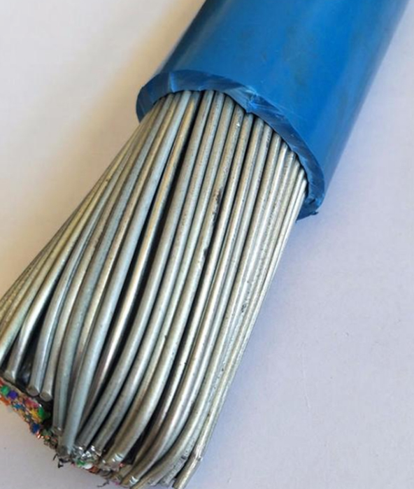 本安计算机电缆IA-DJYPVP-32