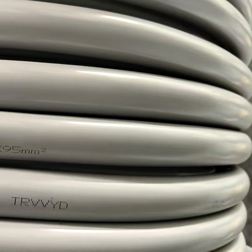 TRVVYD1x95mm².jpg