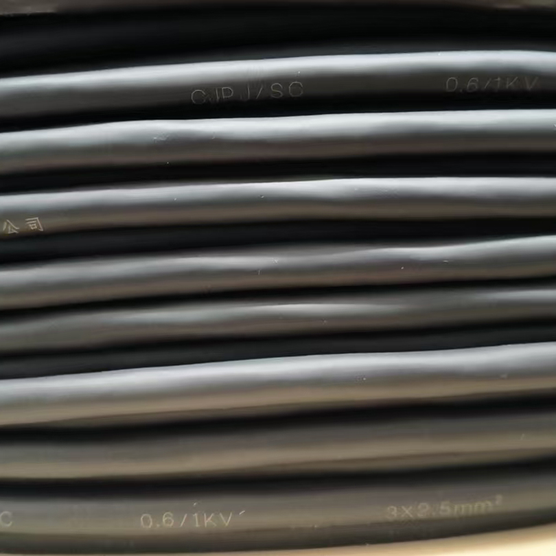 CJPJ-SC 3x2.5mm².jpg